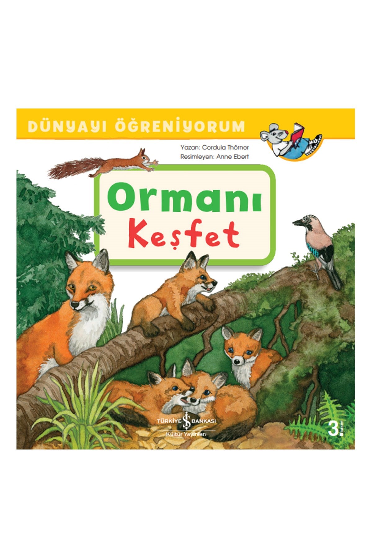 Ormanı Keşfet