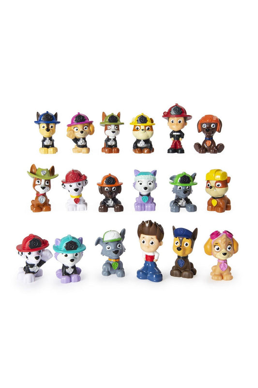 Paw Patrol Mighty Pups Mini Figür Sürpriz Paketi