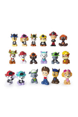 Paw Patrol Mighty Pups Mini Figür Sürpriz Paketi