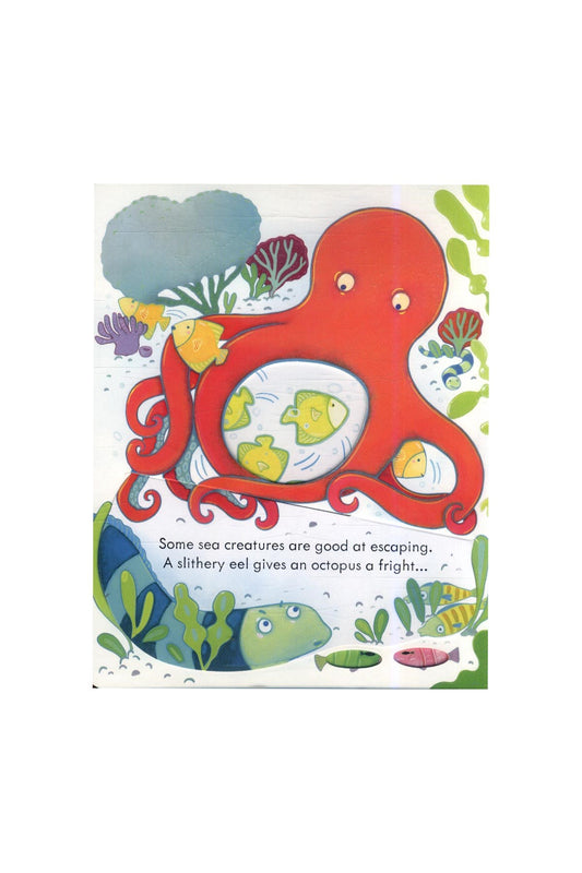 The Usborne Peep Inside The Sea