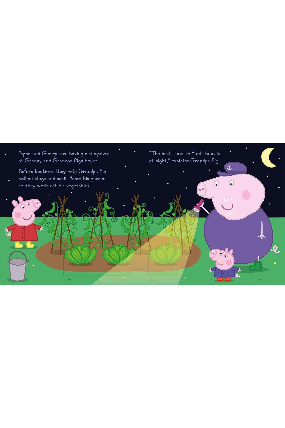 Peppa Pig: Night Creatures Lift the Flap book