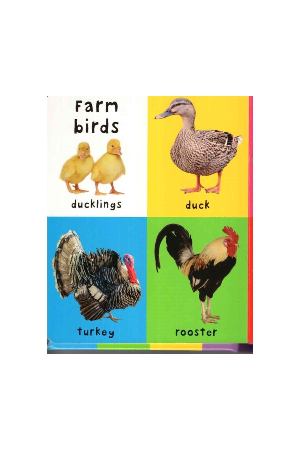 Priddy Books First 100 STT Farm Words - Welcome Baby