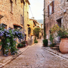 Ravensburger 1000 Parçalı Puzzle France