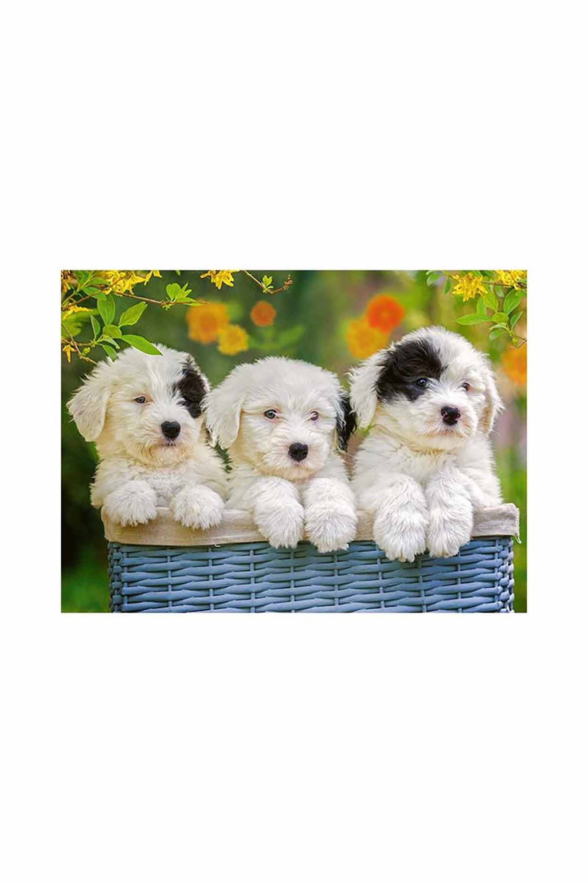 Ravensburger 200 Parçalı PuzzlePuppies