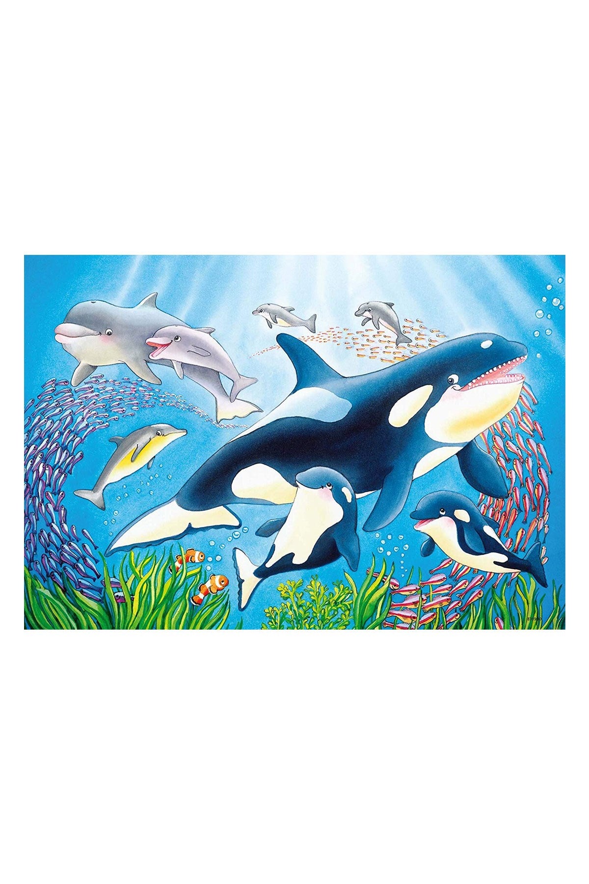 Ravensburger 2x24 Parçalı Puzzle Deniz Altında-078158