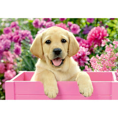 Ravensburger 2x24 Parçalı Puzzle Friends