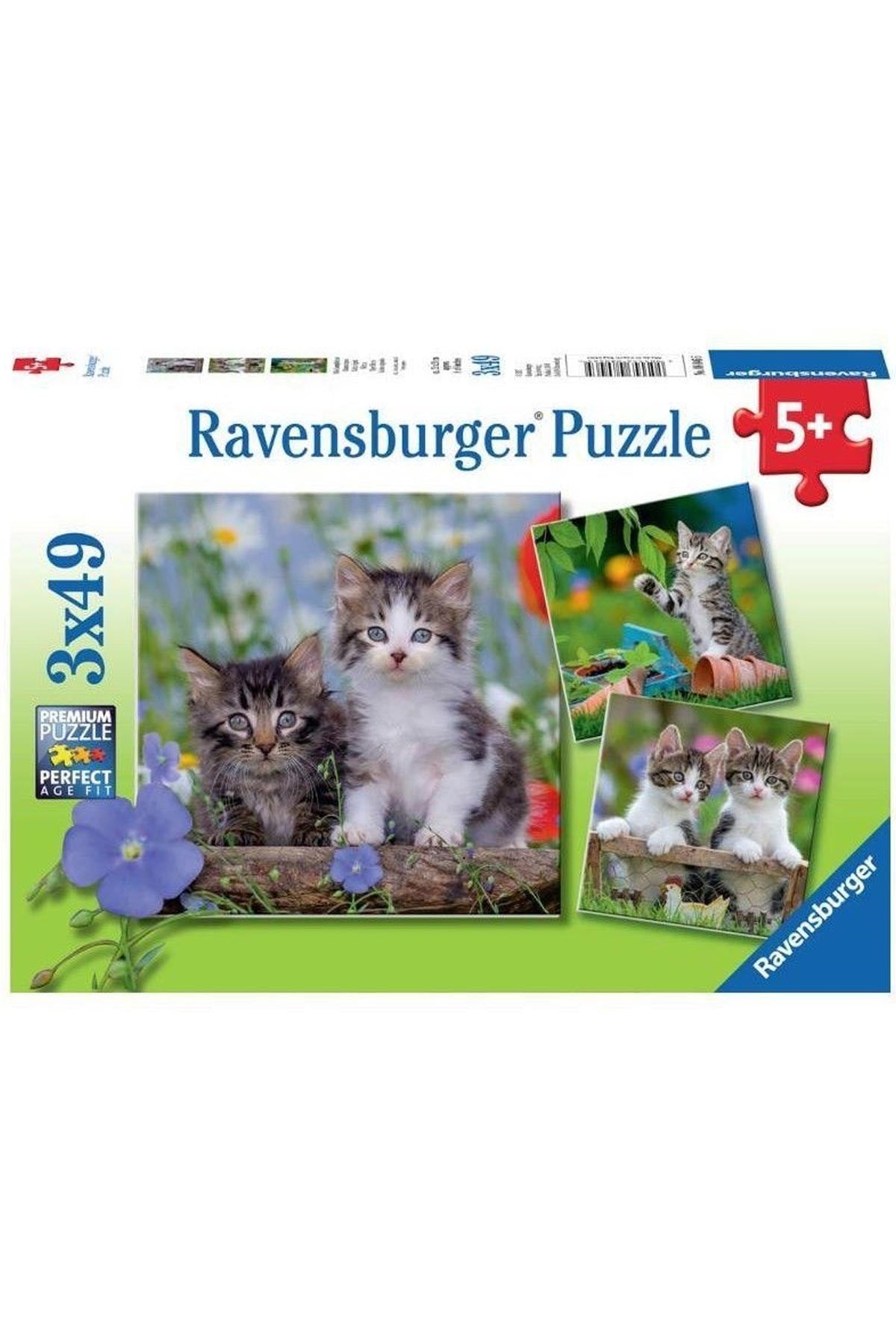 Ravensburger 3x49 Parçalı Puzzle Tiger Babies-080465