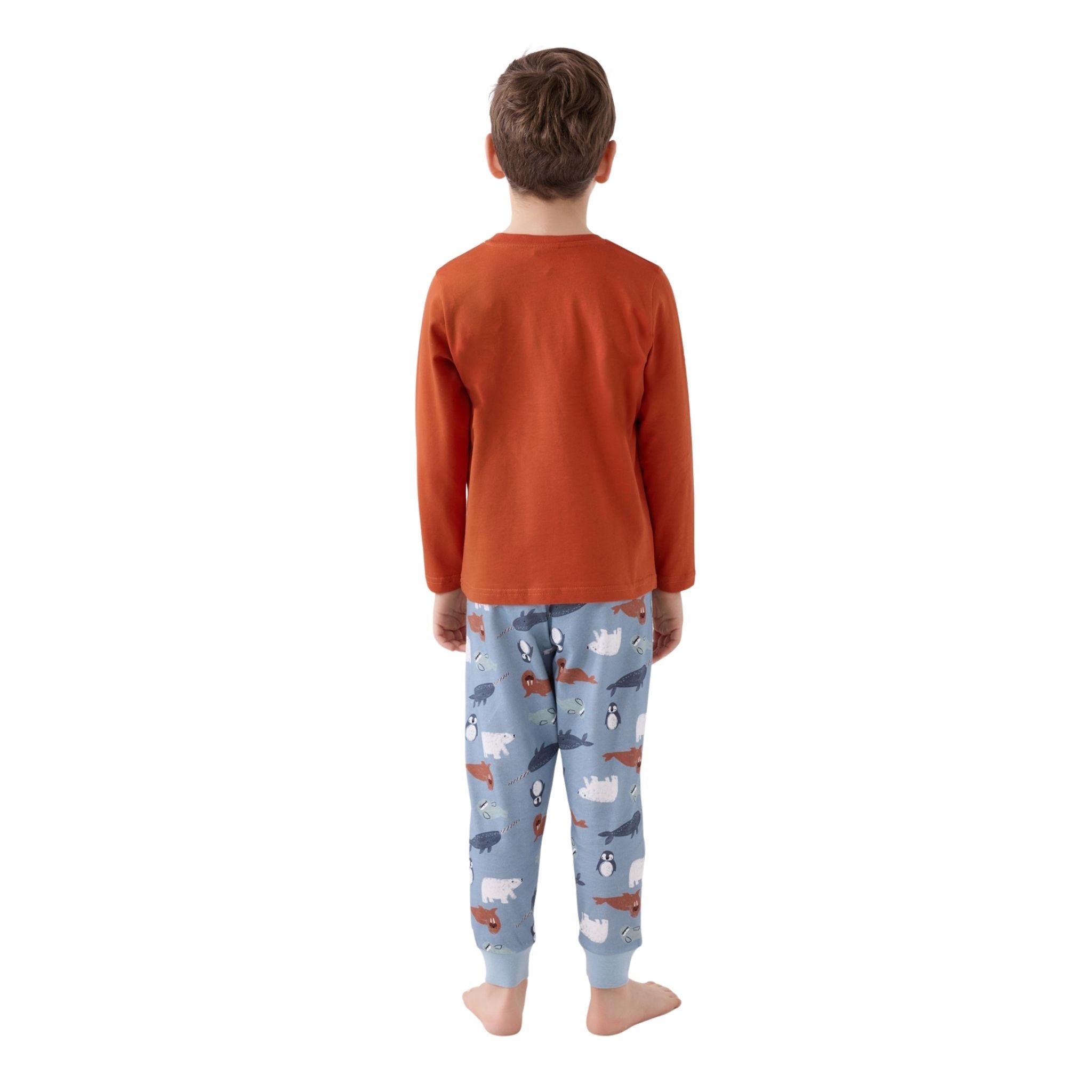Roly Poly Erkek Çocuk Uzun Kollu Pijama Takım Kiremit