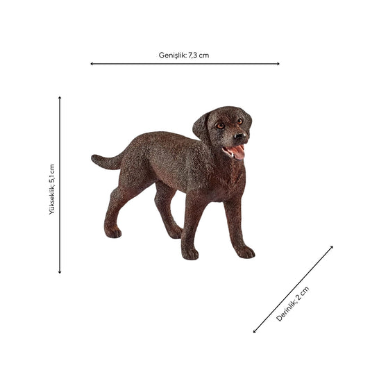 Schleich Dişi Labrador Retriever Figürü