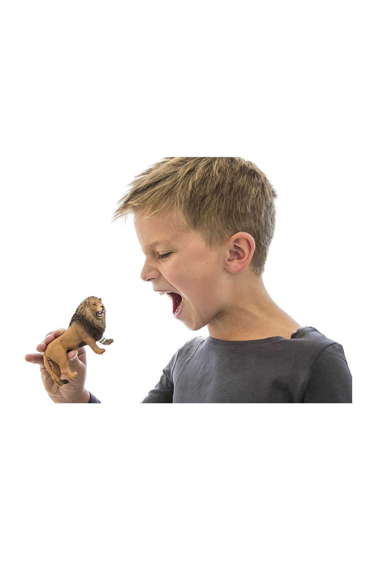 Schleich Kükreyen Aslan