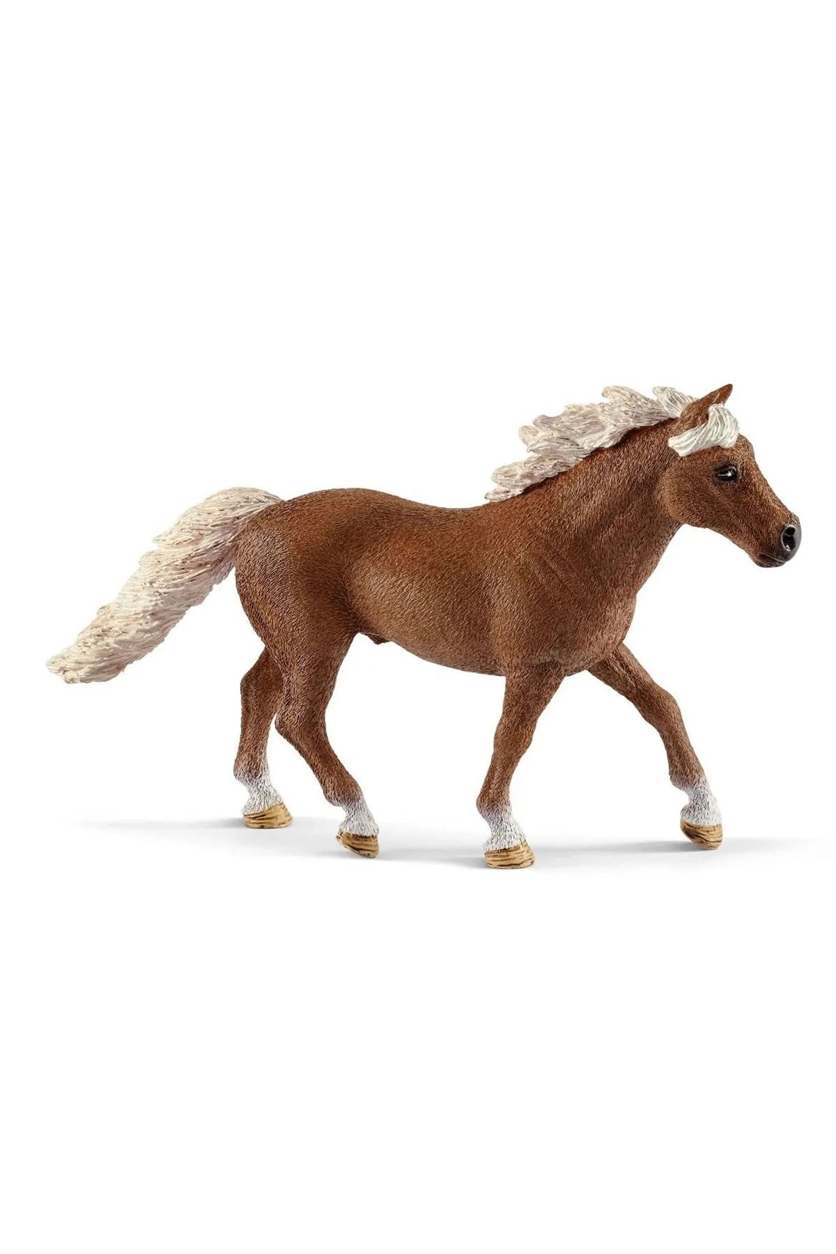 Schleich Pony Eğitimi