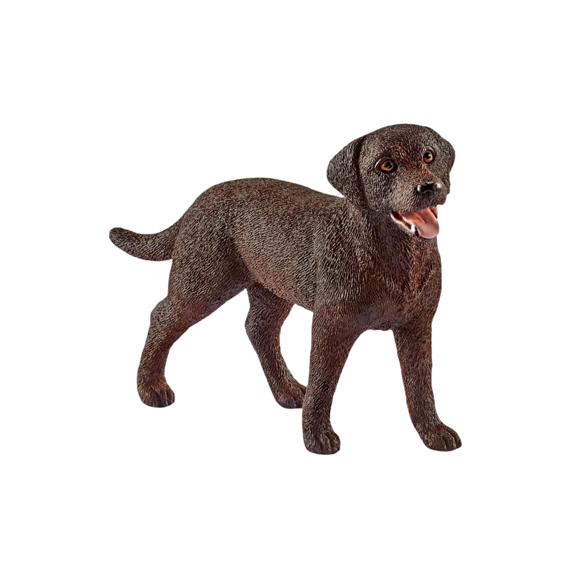 Schleich Veteriner Çiftlikte