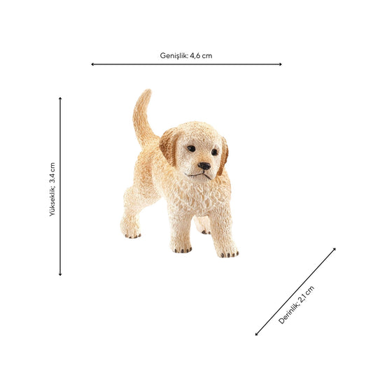 Schleich Yavru Golden Retriever Figürü