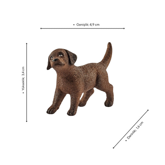Schleich Yavru Labrador Retriever Figürü