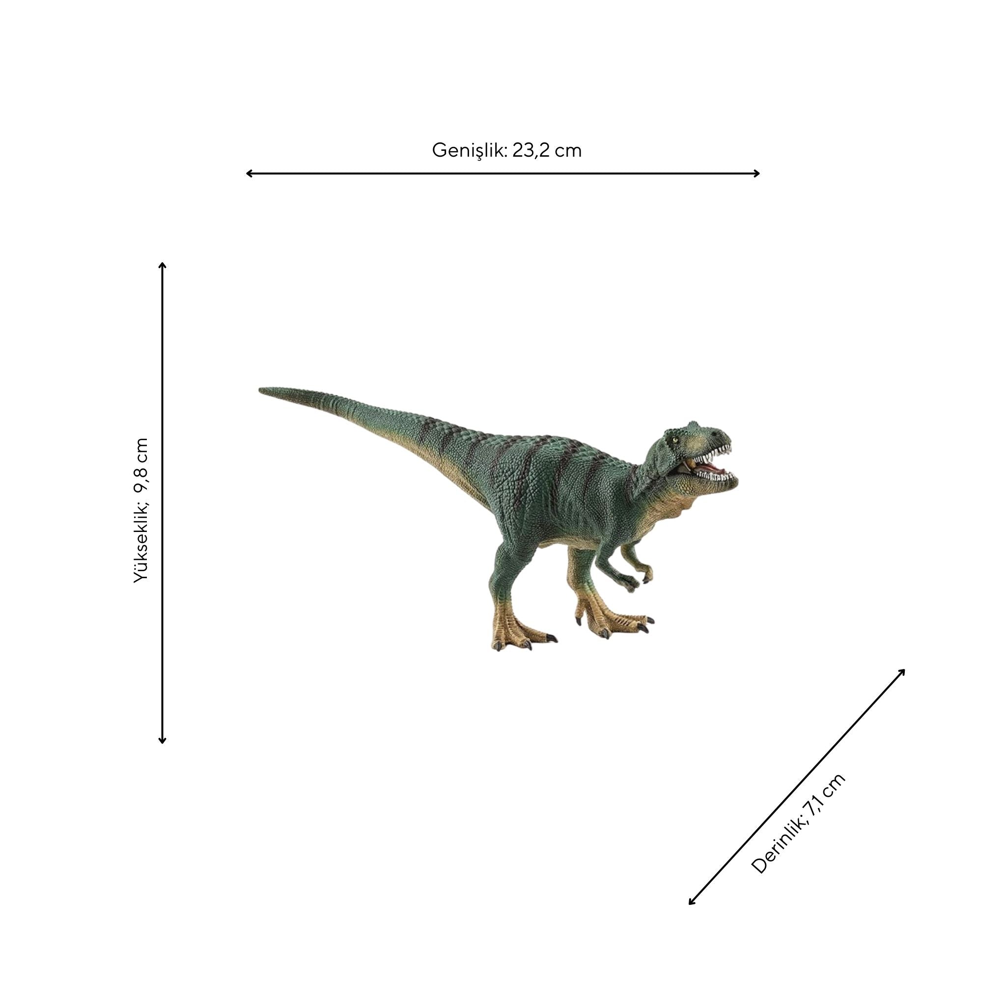 Schleich Yavru T Rex Figürü
