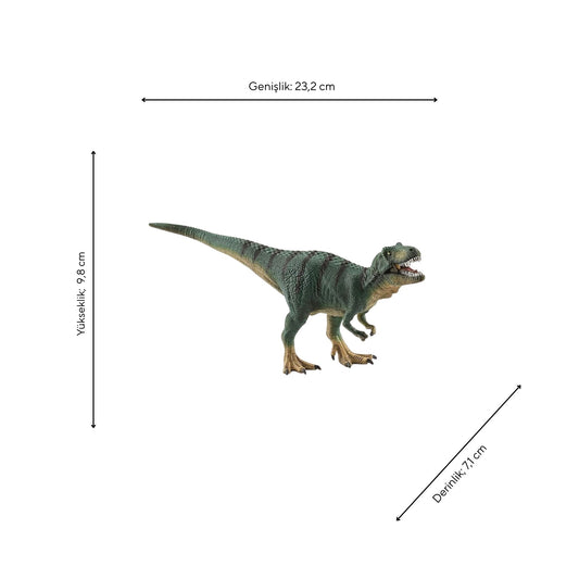 Schleich Yavru T Rex Figürü