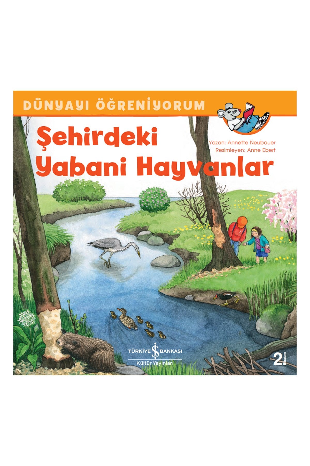 Şehirdeki Yabani Hayvanlar – Dünyayı Öğreniyorum