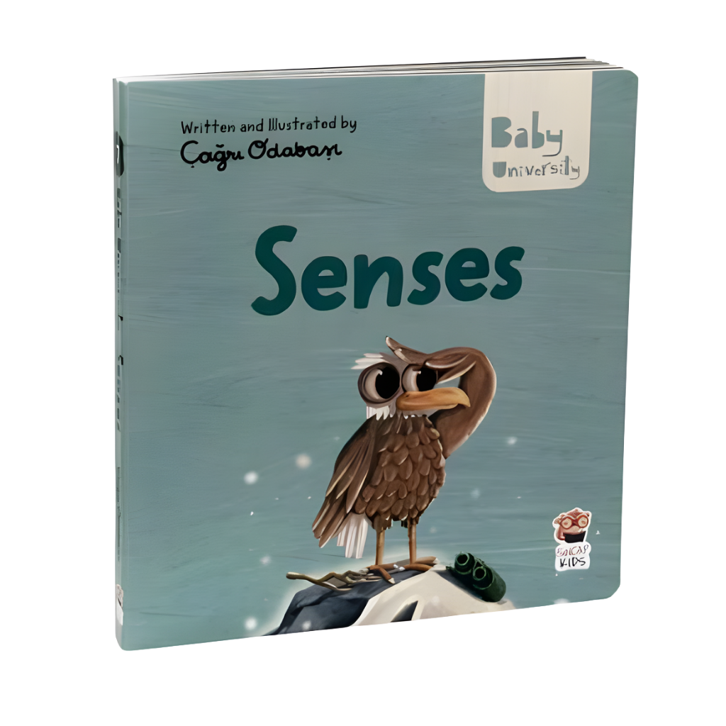 Sincap Kitap Senses Baby University First Concepts Stories 2