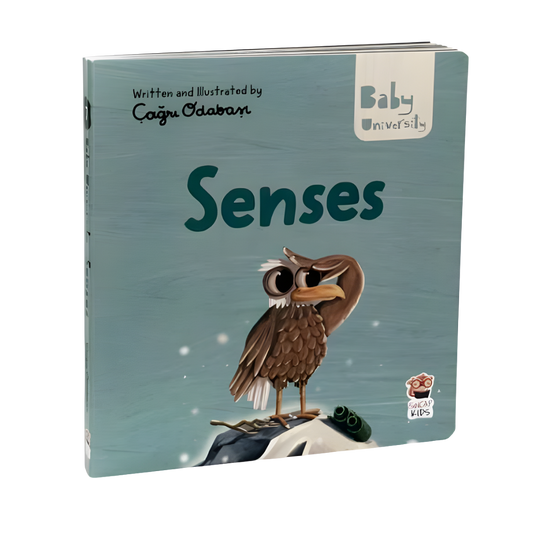 Sincap Kitap Senses Baby University First Concepts Stories 2