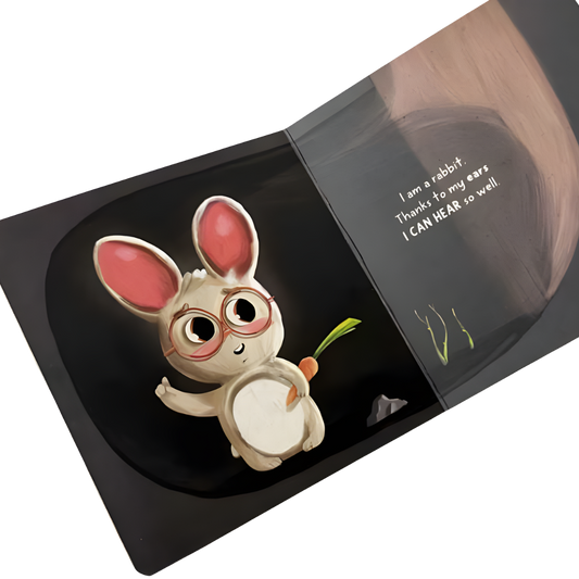 Sincap Kitap Senses Baby University First Concepts Stories 2