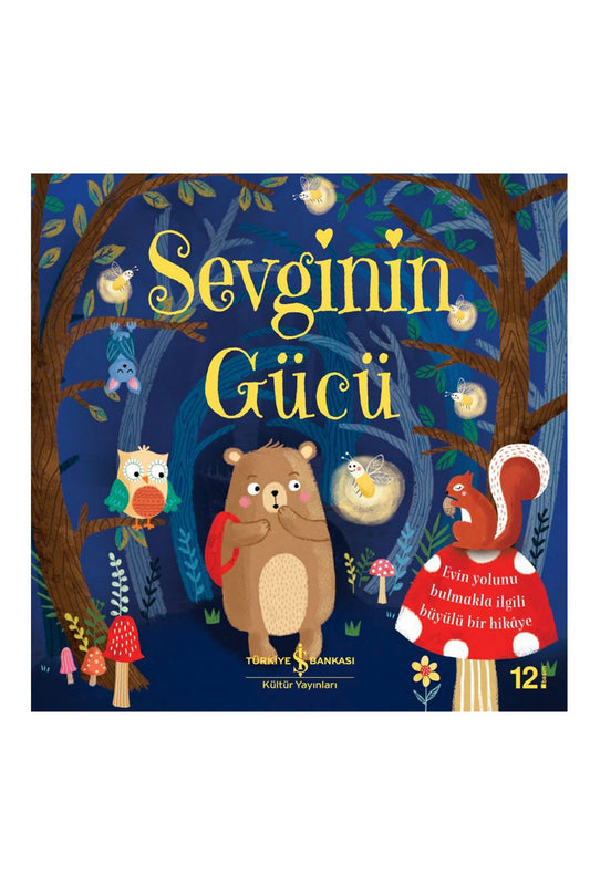 Türkiye İş Bankası Kültür Yayınları Sevginin Gücü