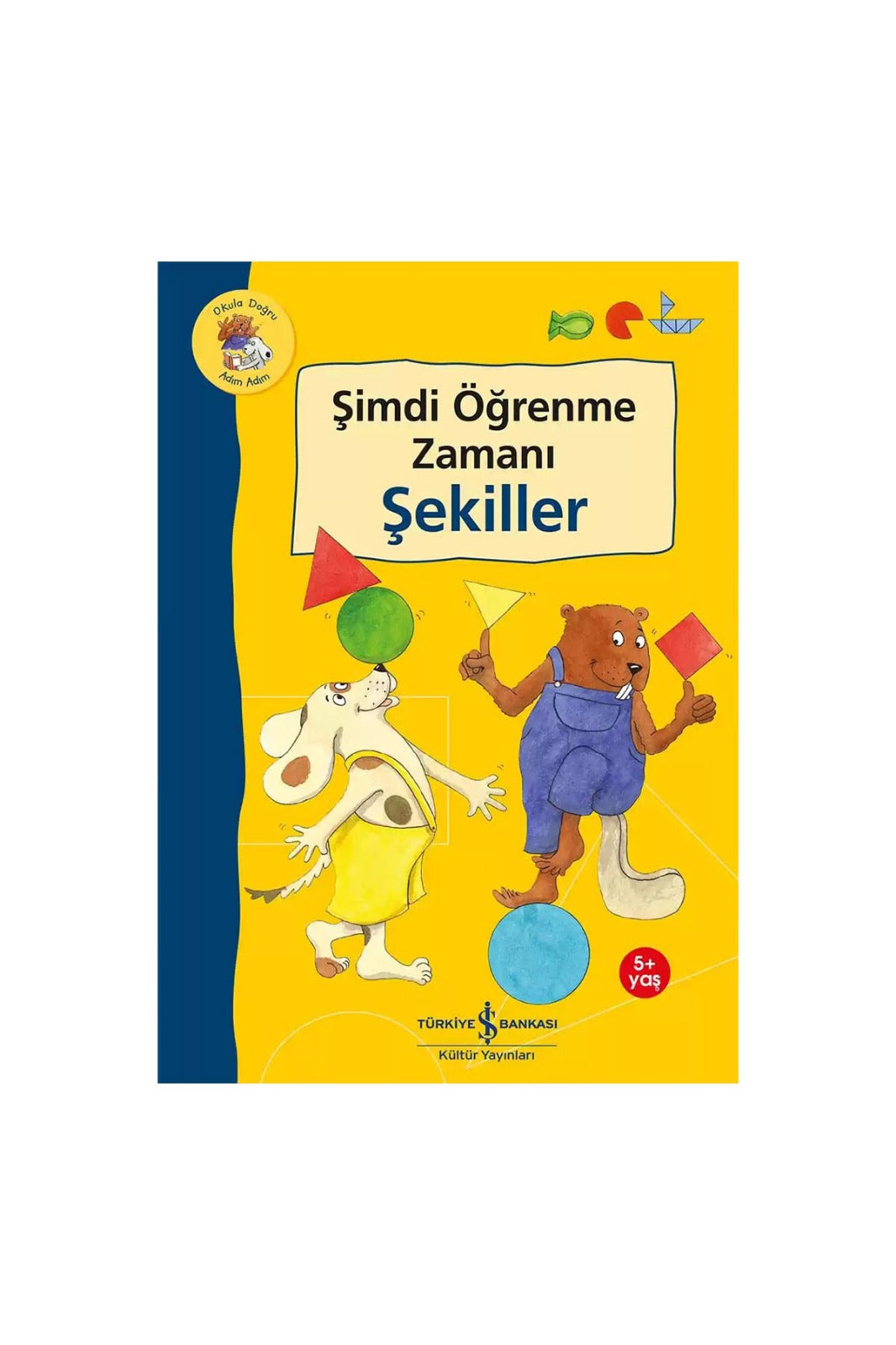 Şimdi Öğrenme Zamanı – Şekiller