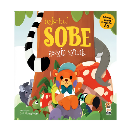 Sincap Kitap Bak Bul Sobe Gezgin Ayıcık