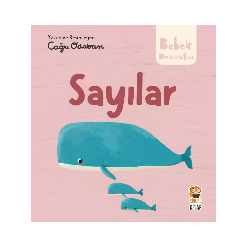 Sincap Kitap Bebek Üniversitesi 2 Sayılar