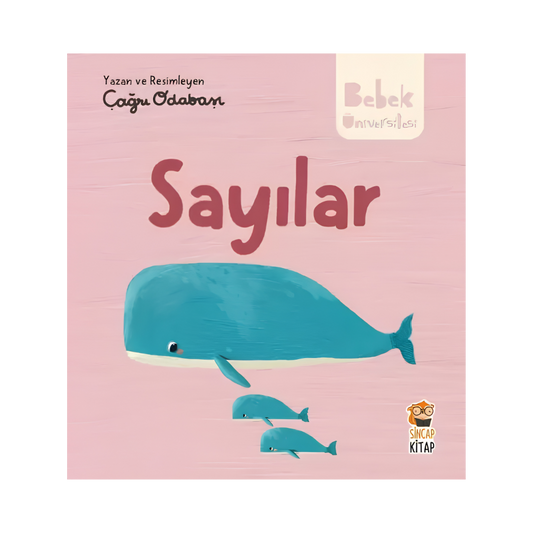 Sincap Kitap Bebek Üniversitesi 2 Sayılar