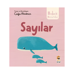Sincap Kitap Bebek Üniversitesi 2 Sayılar
