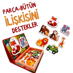 Sincap Kitap Magnetoria Meşe Palamudu Ormanı Mıknatıstlı Kitap