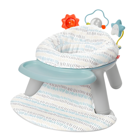 Skip Hop 2'si 1 Arada Aktivite Sandalyesi