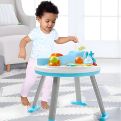 Skip Hop E&M Aktivite Masası