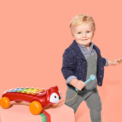 Skip Hop E&M Fox Xylophone