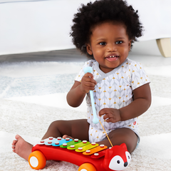 Skip Hop E&M Fox Xylophone