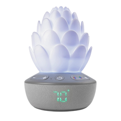 Skip Hop Terra Ağlama Sensörlü Baby Soother