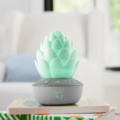 Skip Hop Terra Ağlama Sensörlü Baby Soother