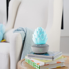 Skip Hop Terra Ağlama Sensörlü Baby Soother