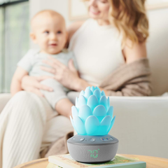 Skip Hop Terra Ağlama Sensörlü Baby Soother