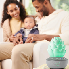 Skip Hop Terra Ağlama Sensörlü Baby Soother