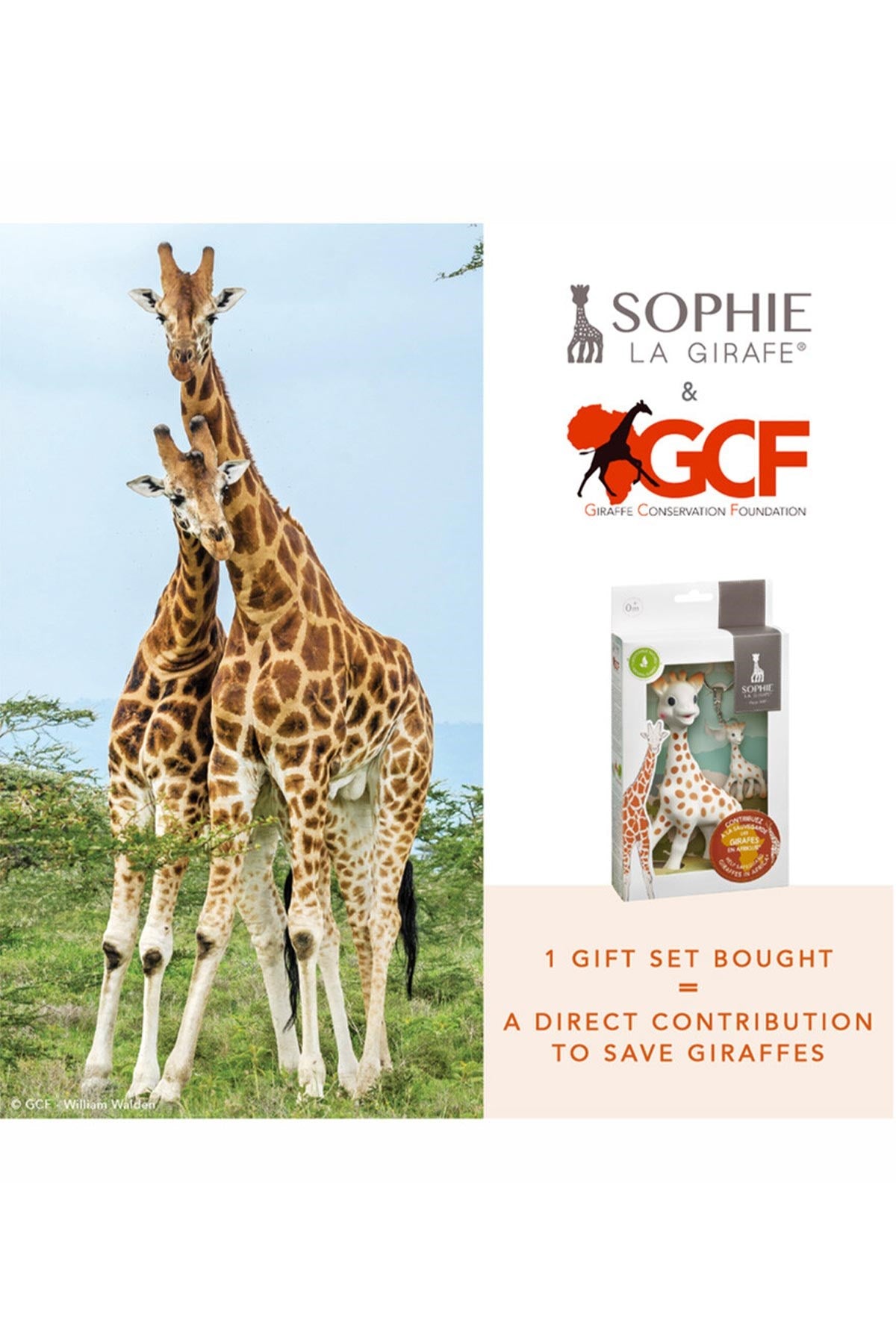 Sophie la Girafe Sophie la girafe & GCF Hediye Seti