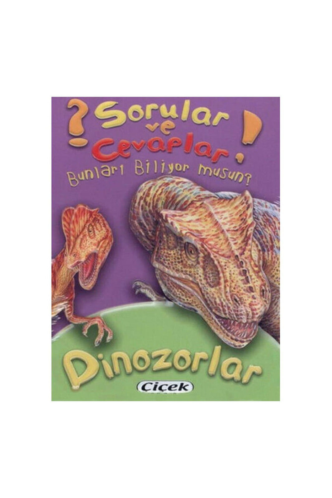 Sorular Ve Cevaplar Kart D.-Dinozorlar