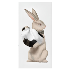 Spextrum Tissue Up Tale Wonder Rabbit Peçetelik Beyaz