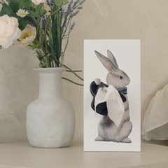 Spextrum Tissue Up Tale Wonder Rabbit Peçetelik Beyaz
