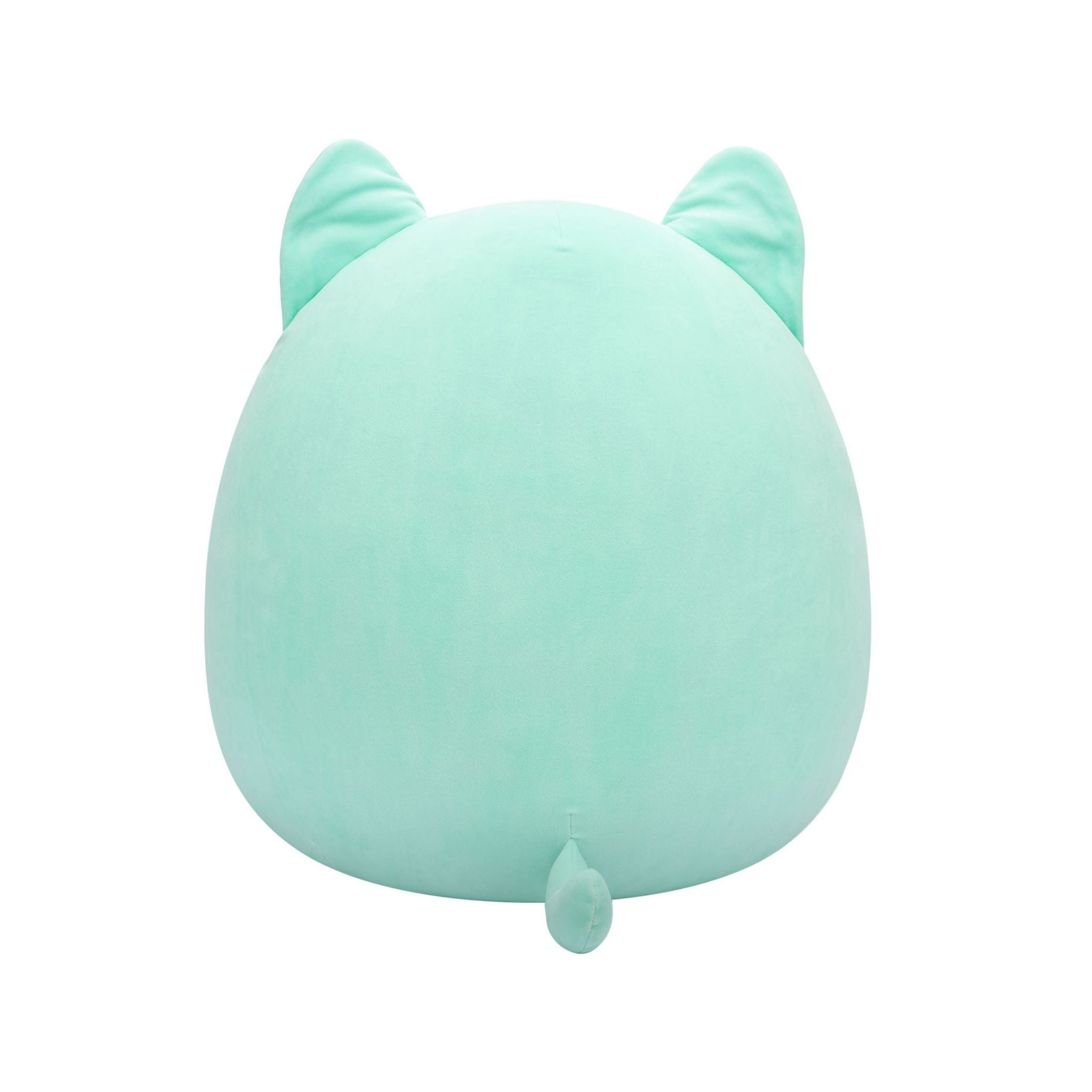 Squishmallows Kedi Corinna 50cm