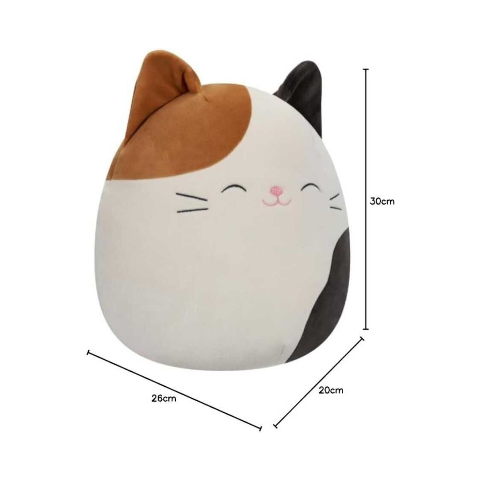 Squishmallows Kedi Cam 30cm