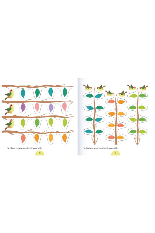 Eolo Terzi Kuşunun Dikişleri Çizgi Kitabı