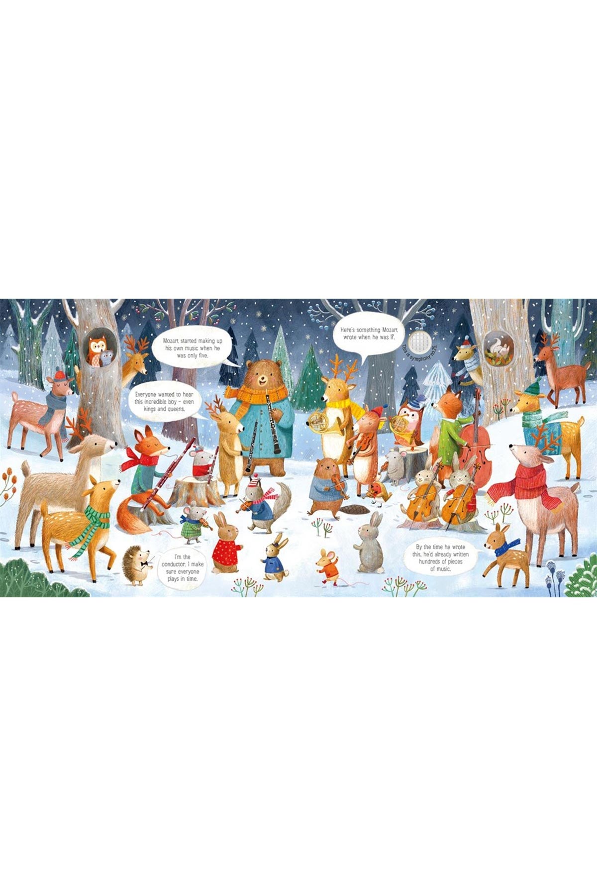 The Usborne The Animal Orchestra Plays Mozart - Welcome Baby