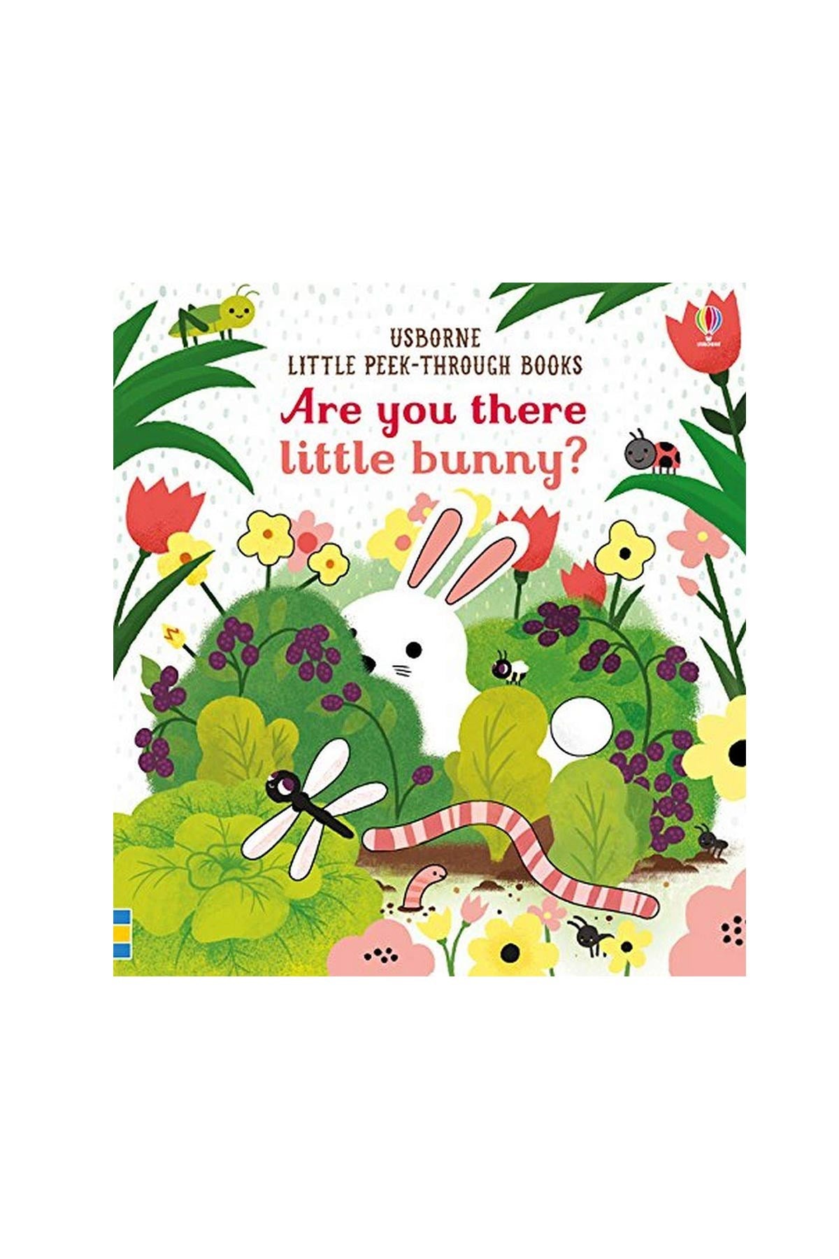 The Usborne Are You There Little Bunny