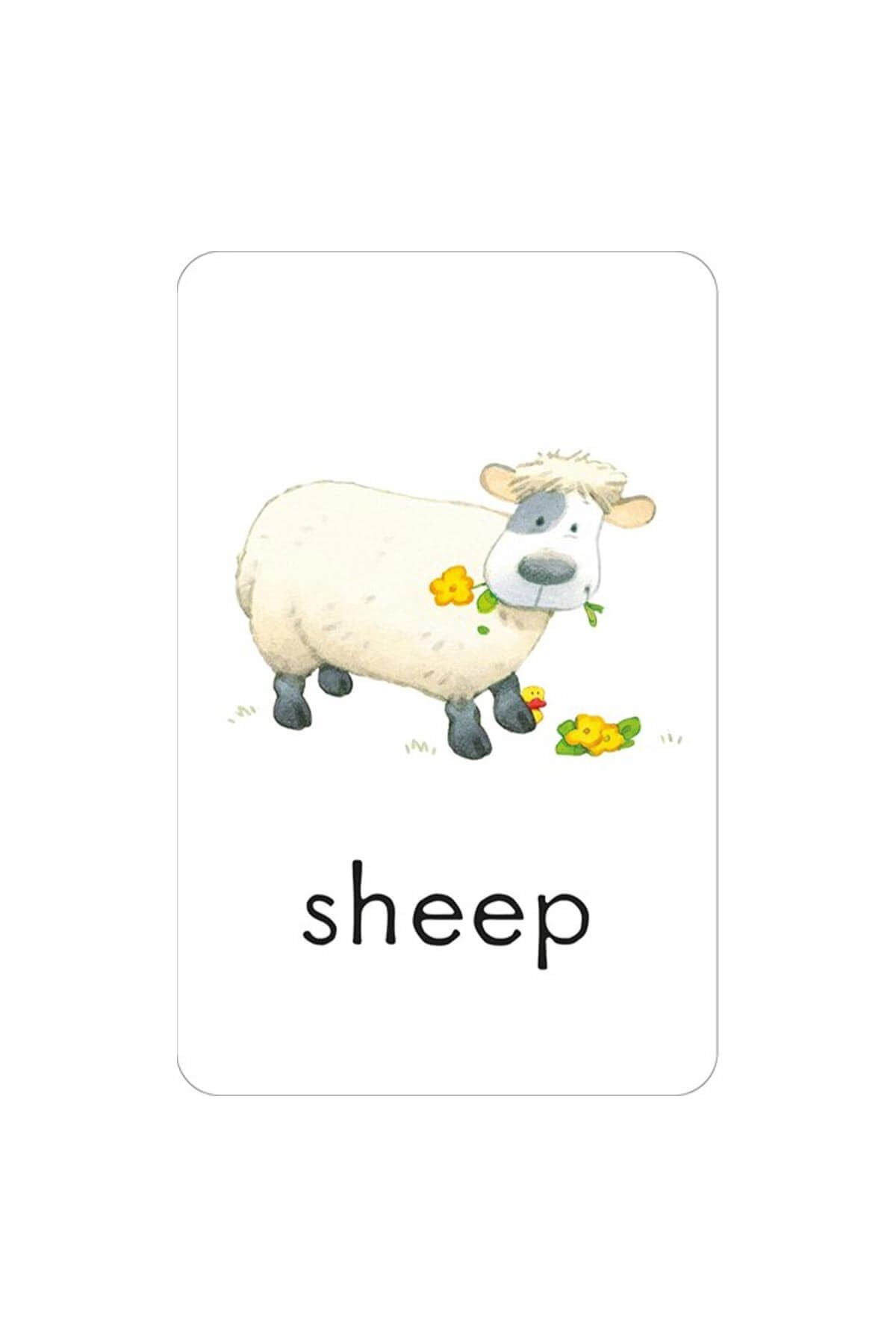 The Usborne First Words: Flashcards - Welcome Baby